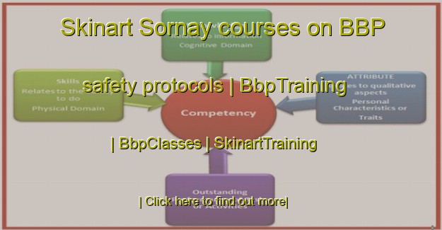 Skinart Sornay courses on BBP safety protocols | BbpTraining | BbpClasses | SkinartTraining-Afghanistan